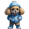 Poodle Fall Winter Outfit