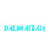 Dalmatian Dalmatiner