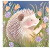 igel auf wiese