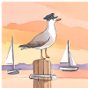 möwe 1