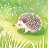 igel auf wiese2