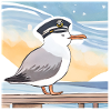 möwe2 1