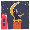 katze dach2