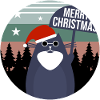 Katze Weihnachten Geschenkidee