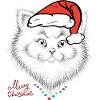 Joyeux Noël