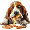Basset