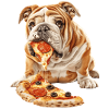 Bulldog