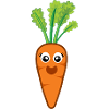 Carrot Carrot Carrot Vegetables