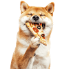 Shiba Inu