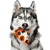 Siberian Husky