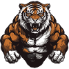 Musculation Tiger Muscles