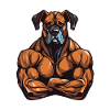 Dog Muscles Bodybuilding