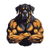 Dog Muscles Workout Gym
