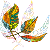 leaves