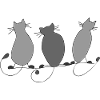 Chats