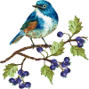 Bunter Vogel