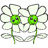 Deux jolies belles fleurs amies