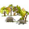 Hedgehogs