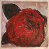 the rose