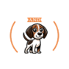 Coffee and English Pointer