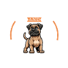 Coffee and Dogo Canario