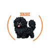 Coffee and Puli
