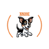 Coffee and Rat Terrier