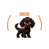 Coffee and poodle pointer