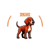 Café et Redbone Coonhound