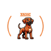 Coffee and Rhodesian Ridgeback