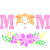 Guinea pig