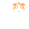 Guinea pig