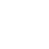 INITIAL S