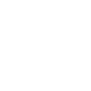 INITIAL T