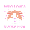Guinea pig