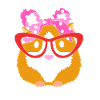 Guinea pig