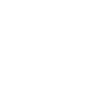 INITIAL Z