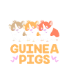 Guinea pig