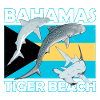 Tiger Beach Bahamas