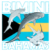 Bimini Bahamas Flag
