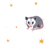 Opossum Possum Animal