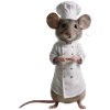 Mouse Cook