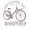 Bicycle mechanic