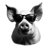 Pig with Sunglasses Animal Motif
