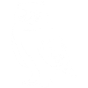 Chat chouette