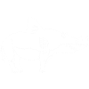 White rhinoceros shark