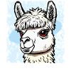 TÊTE D’ALPAGA