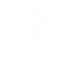 White Dreamcatcher