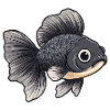 Veiltail Goldfish