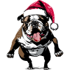 Funny Bulldog with Santa Hat